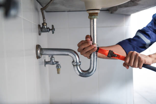 Best Sprinkler Systems  in Marissa, IL