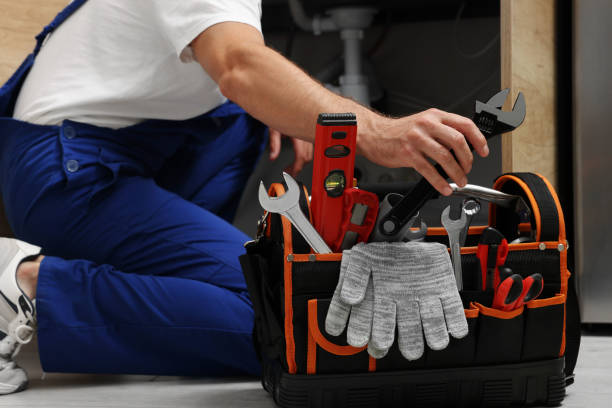 Best Plumbing Services Near Me  in Marissa, IL